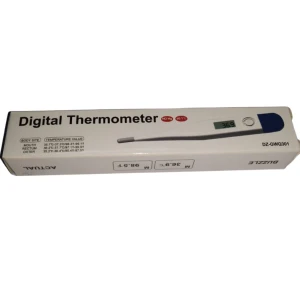 Digital Thermometer